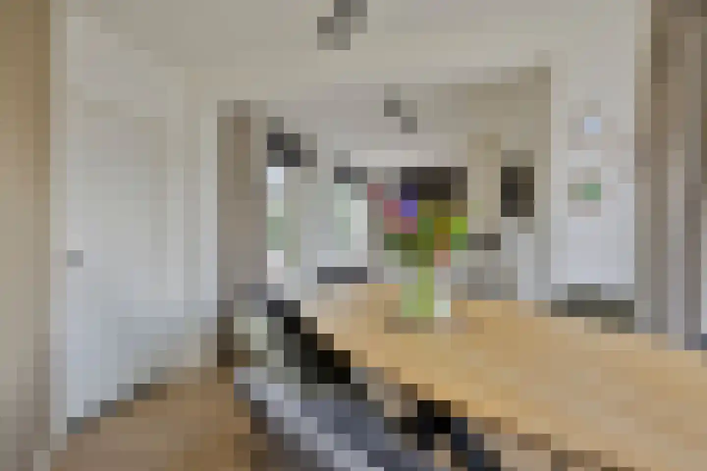 Molendreef 21 Wernhout thumbnail 22