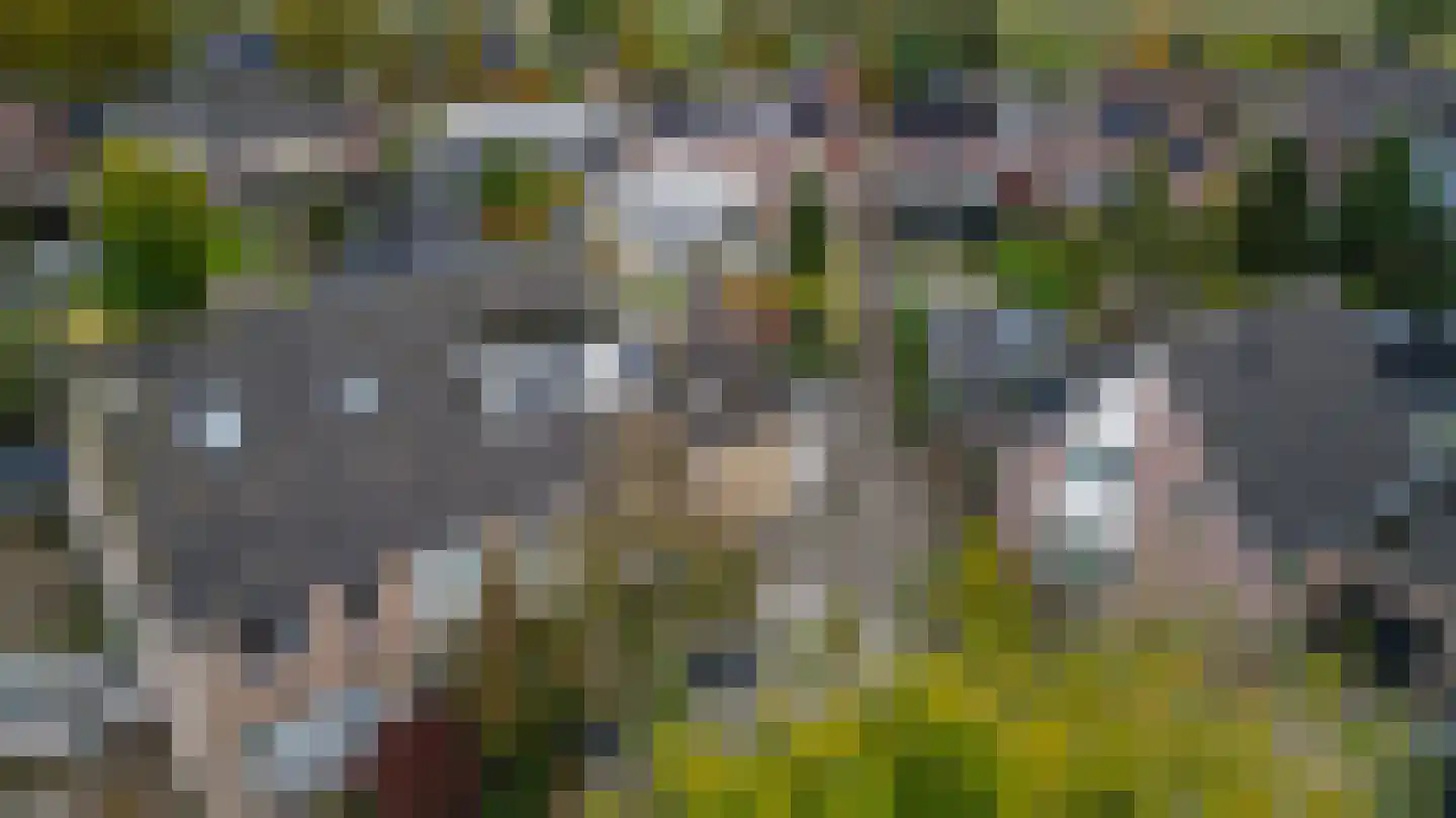 Molendreef 23 Wernhout thumbnail 56