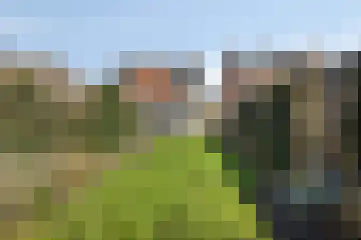 Molendreef 24 Ossendrecht thumbnail 31