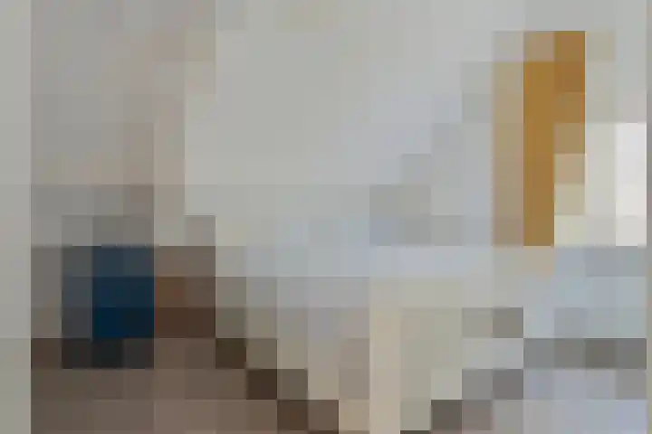 Molendreef 24 Ossendrecht thumbnail 4