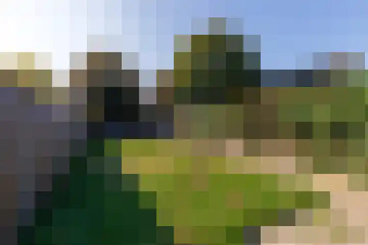 Molendreef 26 Ossendrecht thumbnail 35