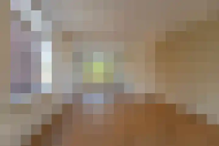 Molendreef 26 Ossendrecht thumbnail 4