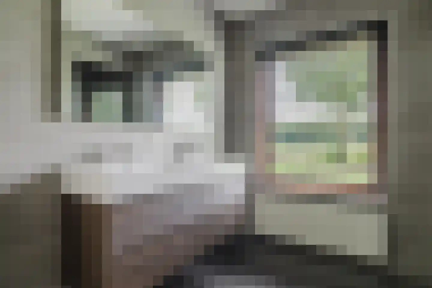 Molendreef 3 Schijf thumbnail 4