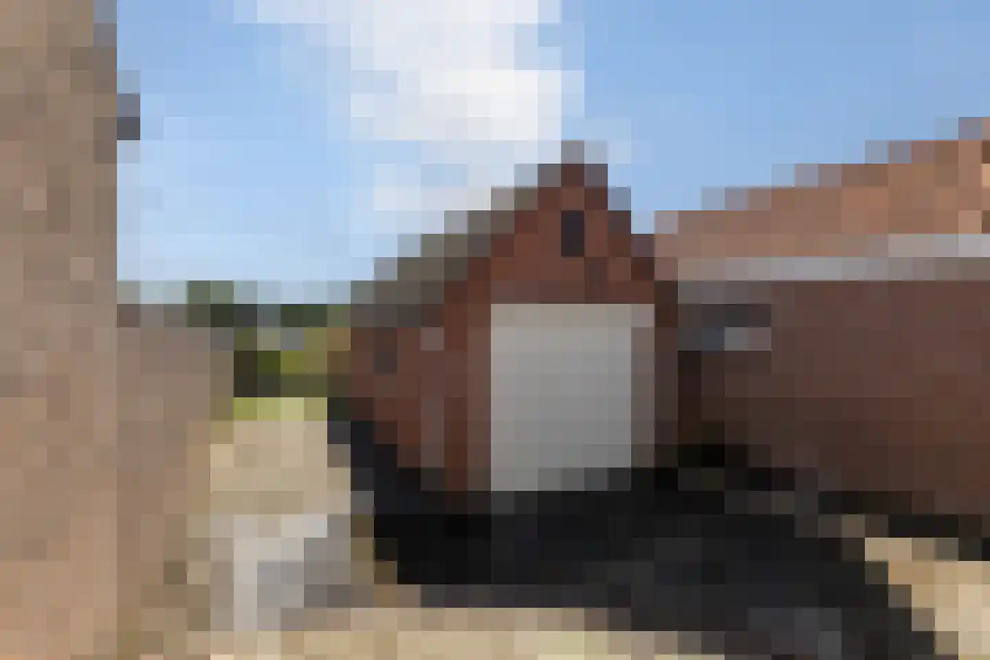 Molendreef 88 Ossendrecht thumbnail 37