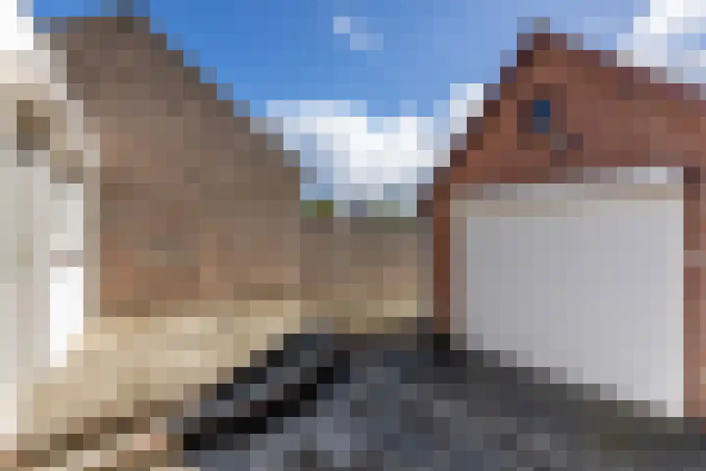 Molendreef 88 Ossendrecht thumbnail 38
