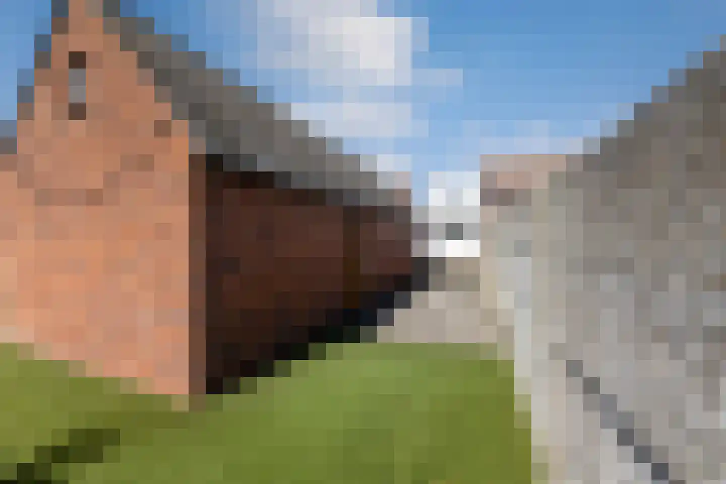 Molendreef 88 Ossendrecht thumbnail 39