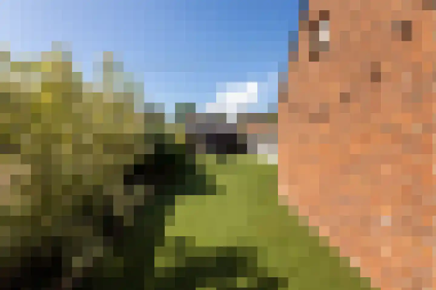 Molendreef 88 Ossendrecht thumbnail 40