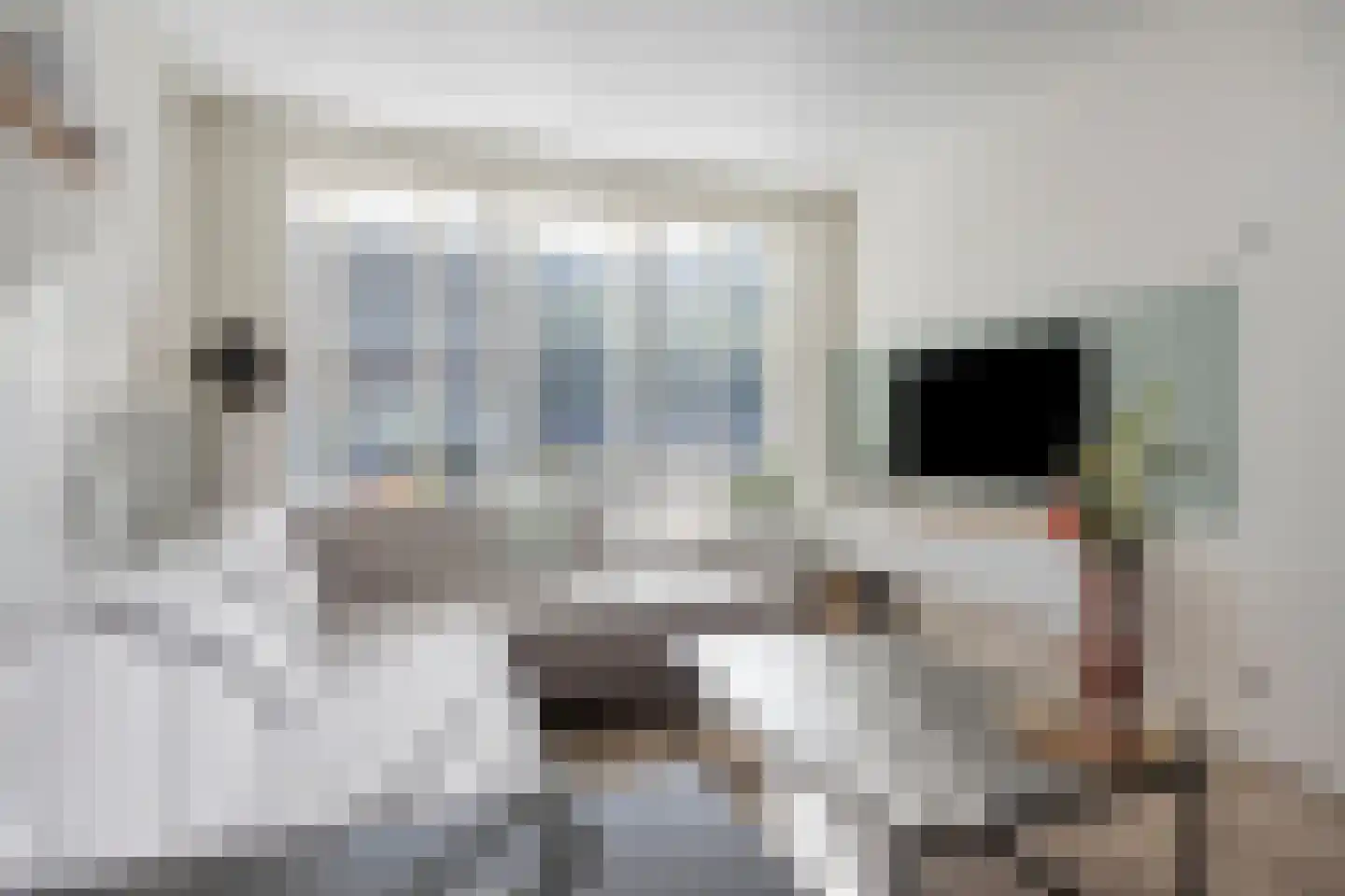 Molendries 10 Alphen thumbnail 10