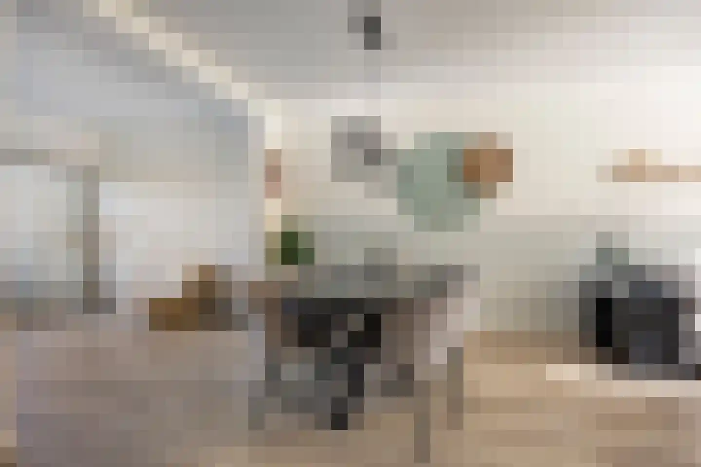 Molendries 10 Alphen thumbnail 13