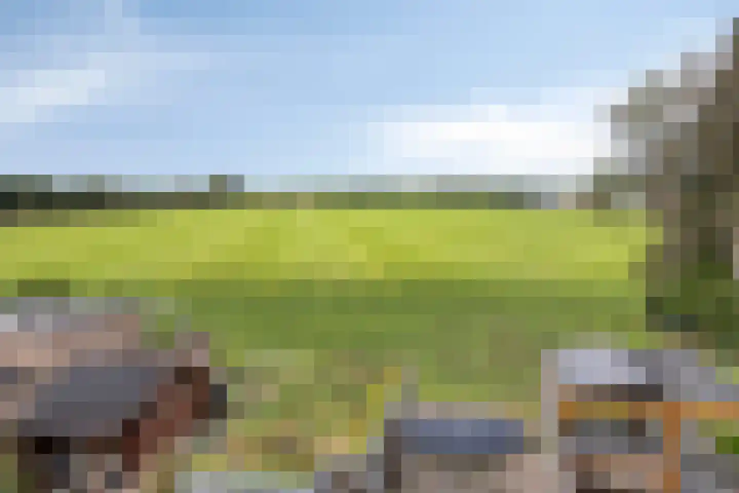 Molendries 10 Alphen thumbnail 36