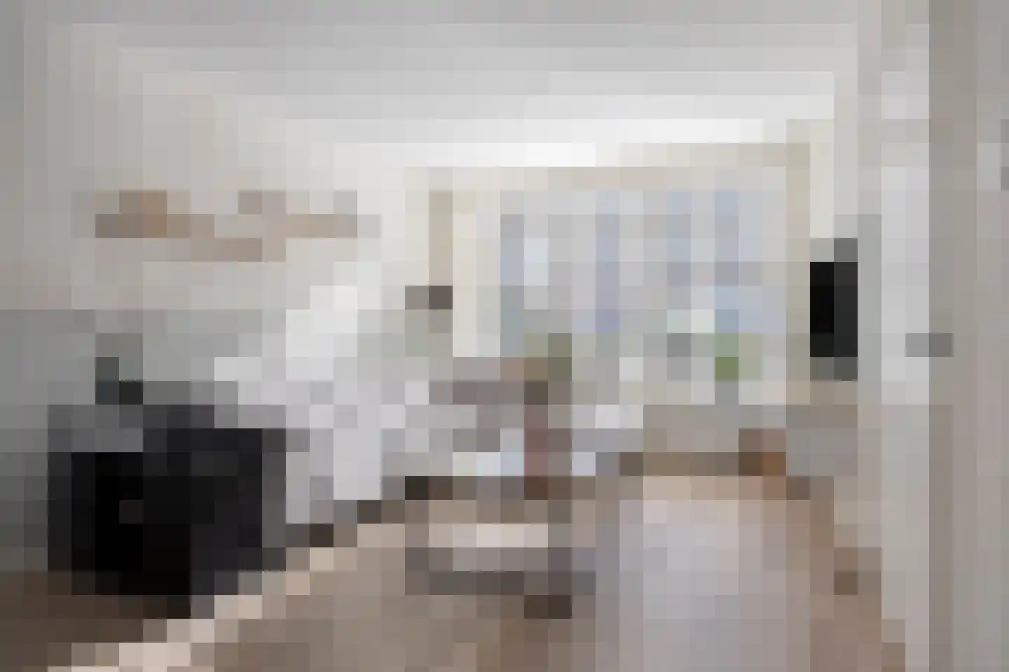 Molendries 10 Alphen thumbnail 9