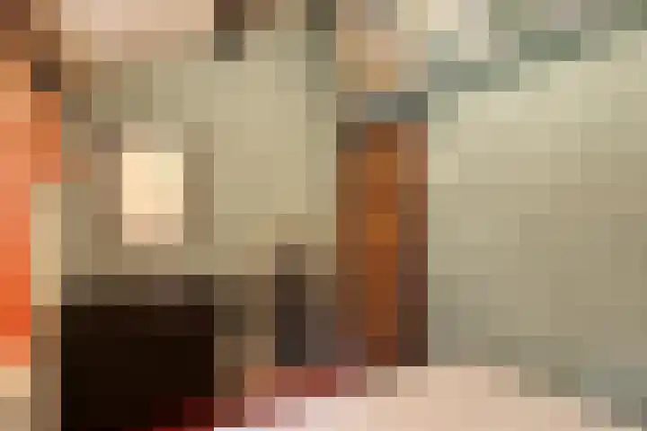 Molenduinen G 23 Norg thumbnail 16