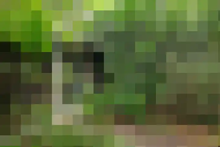 Molenduinen G 23 Norg thumbnail 23
