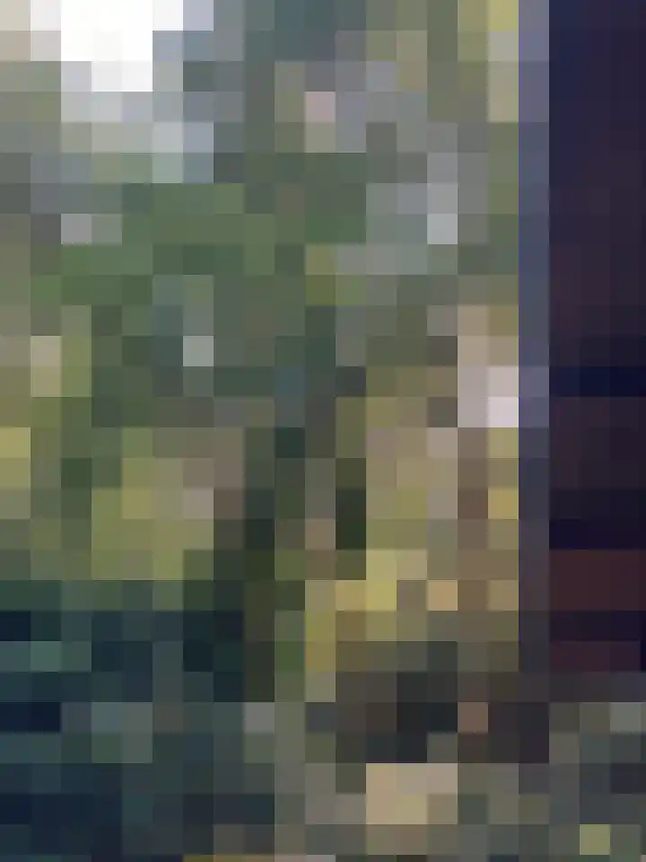 Molenduinen G 23 Norg thumbnail 29