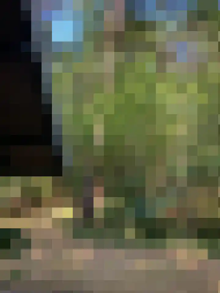 Molenduinen G 23 Norg thumbnail 31