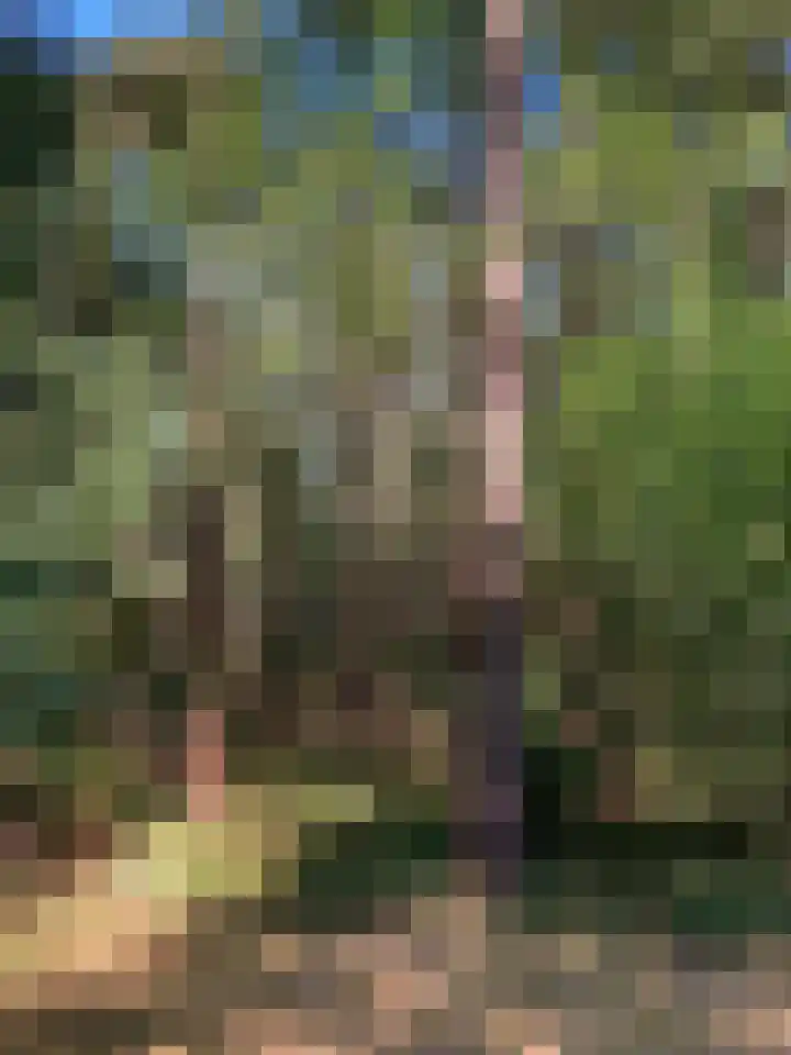 Molenduinen G 23 Norg thumbnail 32