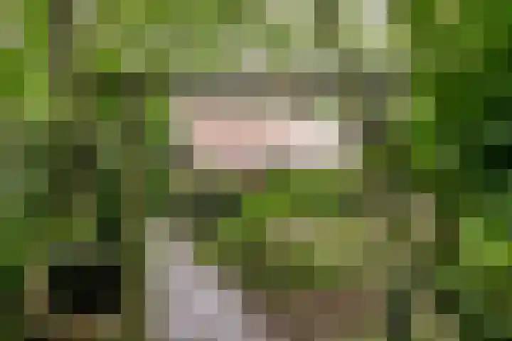 Molenduinen G 23 Norg thumbnail 33