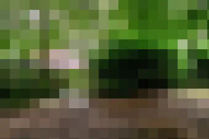 Molenduinen G 23 Norg thumbnail 34