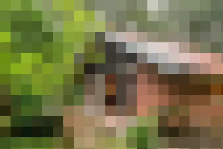 Molenduinen G 23 Norg thumbnail 4