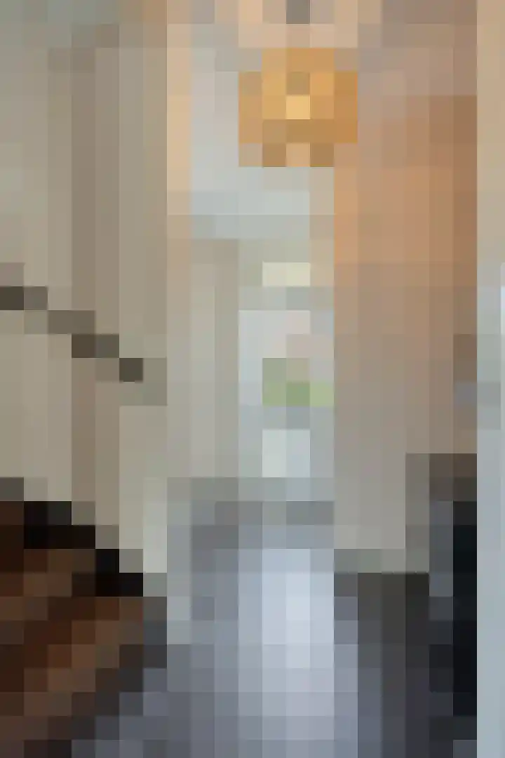 Molendwarsstraat 10 Nederhemert thumbnail 12