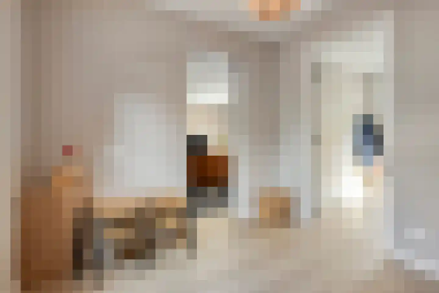 Molendwarsstraat 10 Nederhemert thumbnail 22
