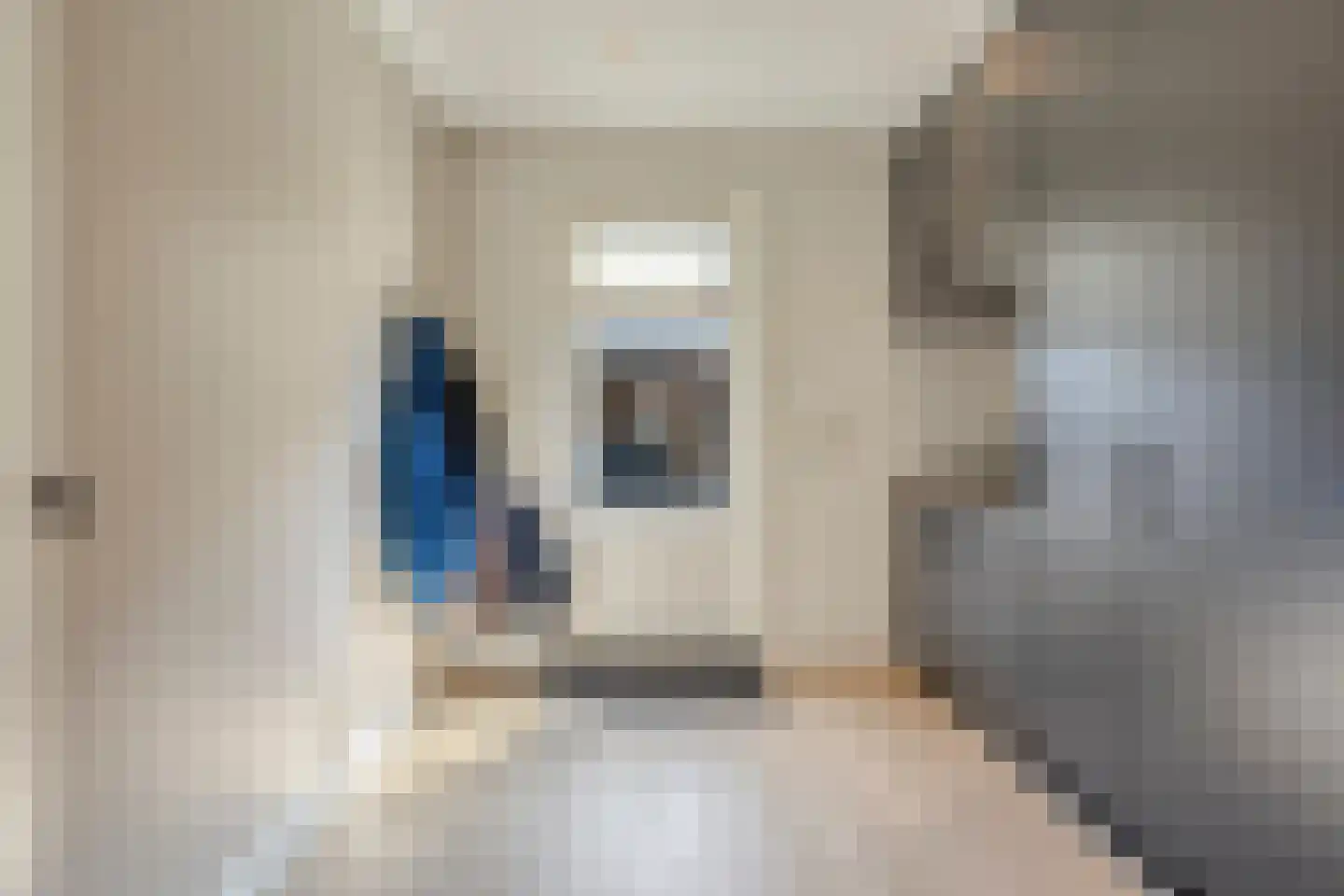 Molendwarsstraat 10 Nederhemert thumbnail 23