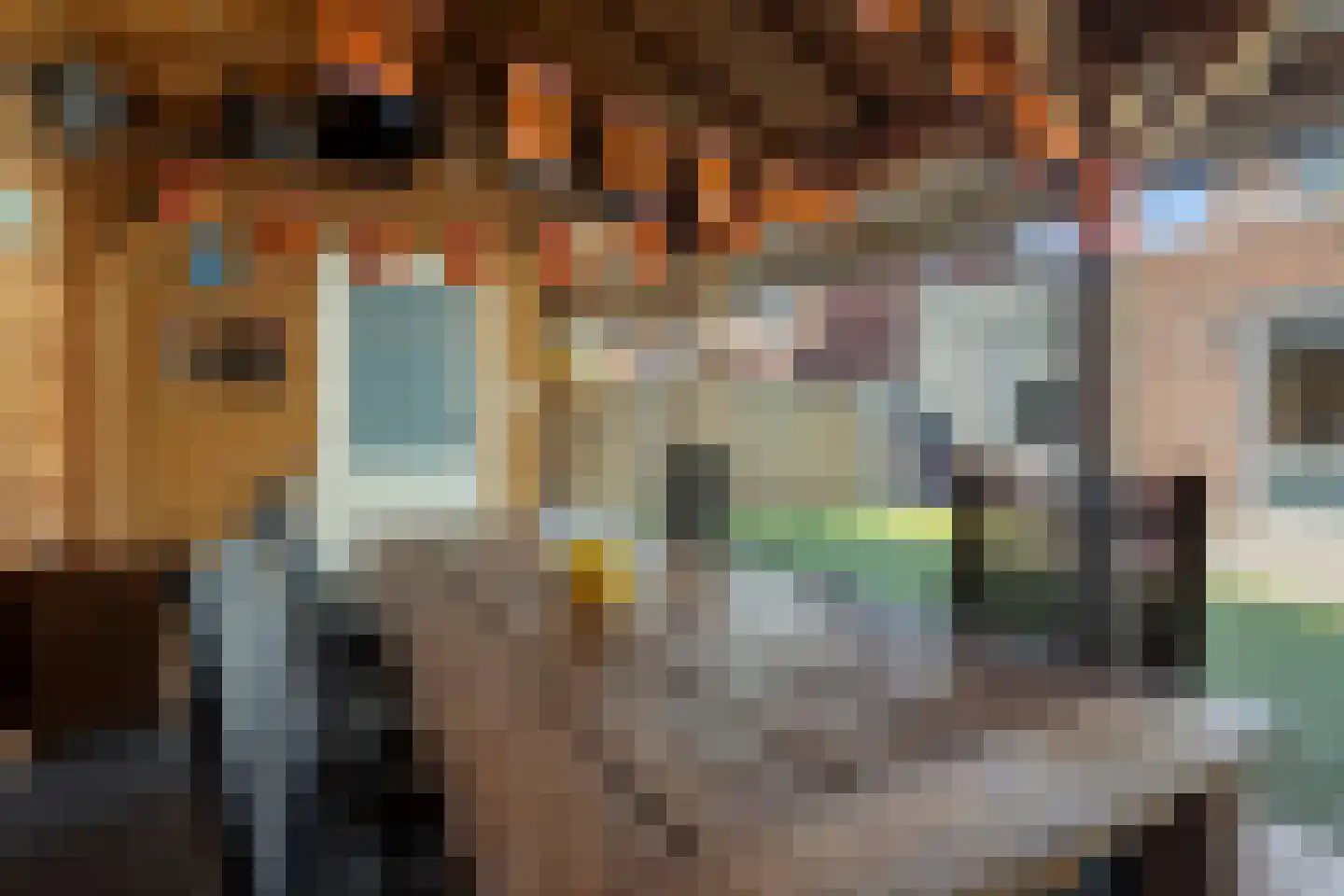 Molendwarsstraat 10 Nederhemert thumbnail 33