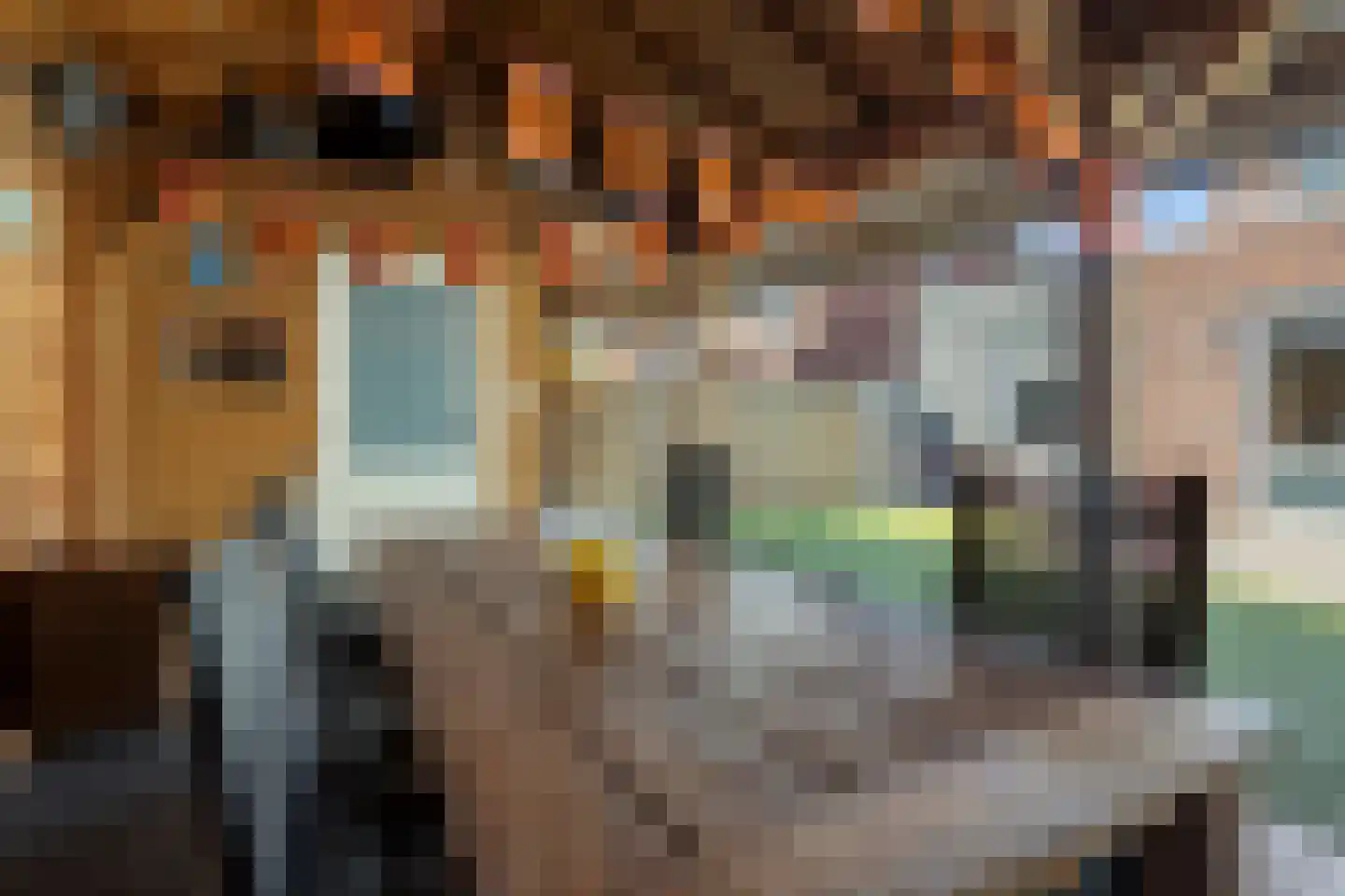 Molendwarsstraat 10 Nederhemert thumbnail 33