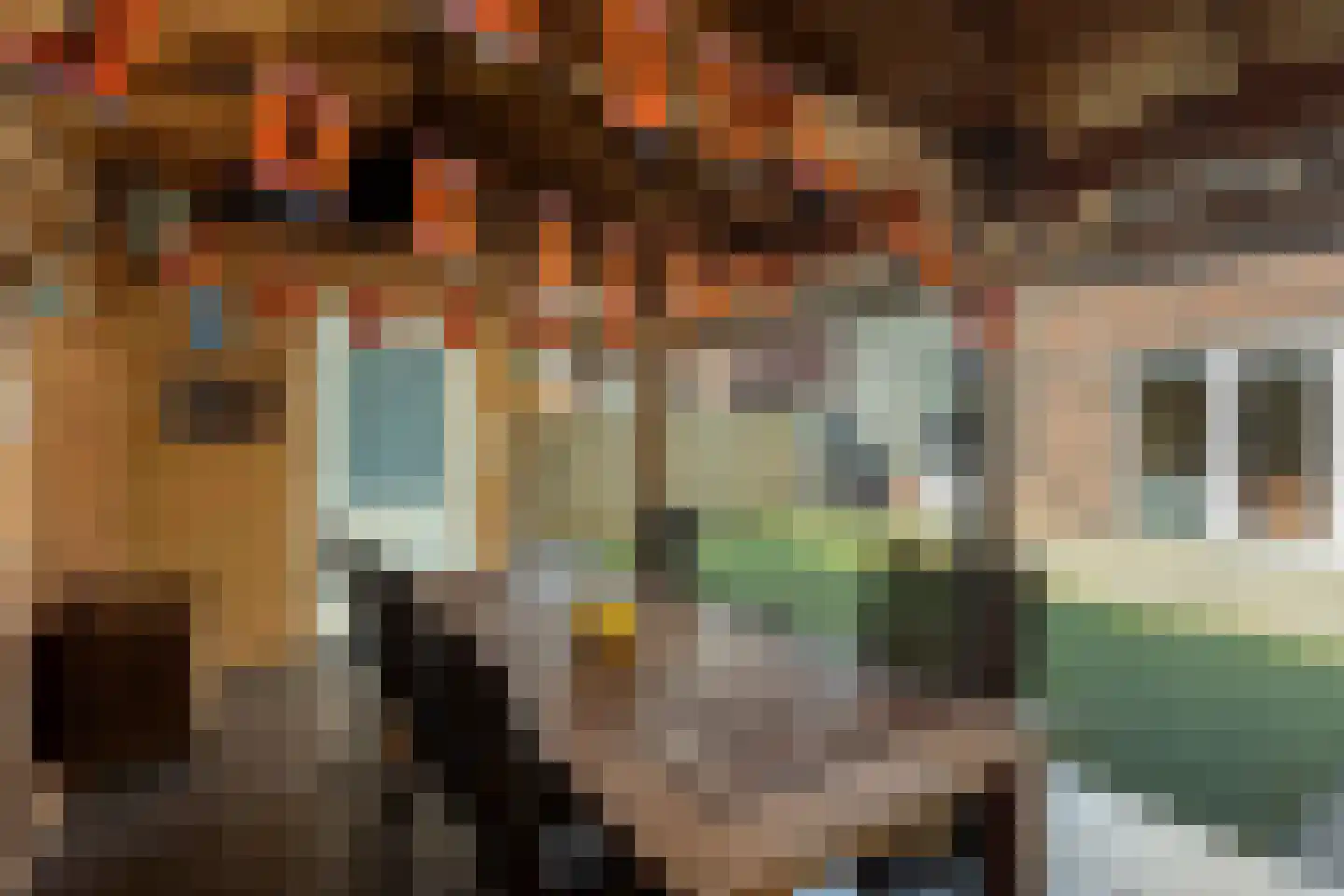 Molendwarsstraat 10 Nederhemert thumbnail 40