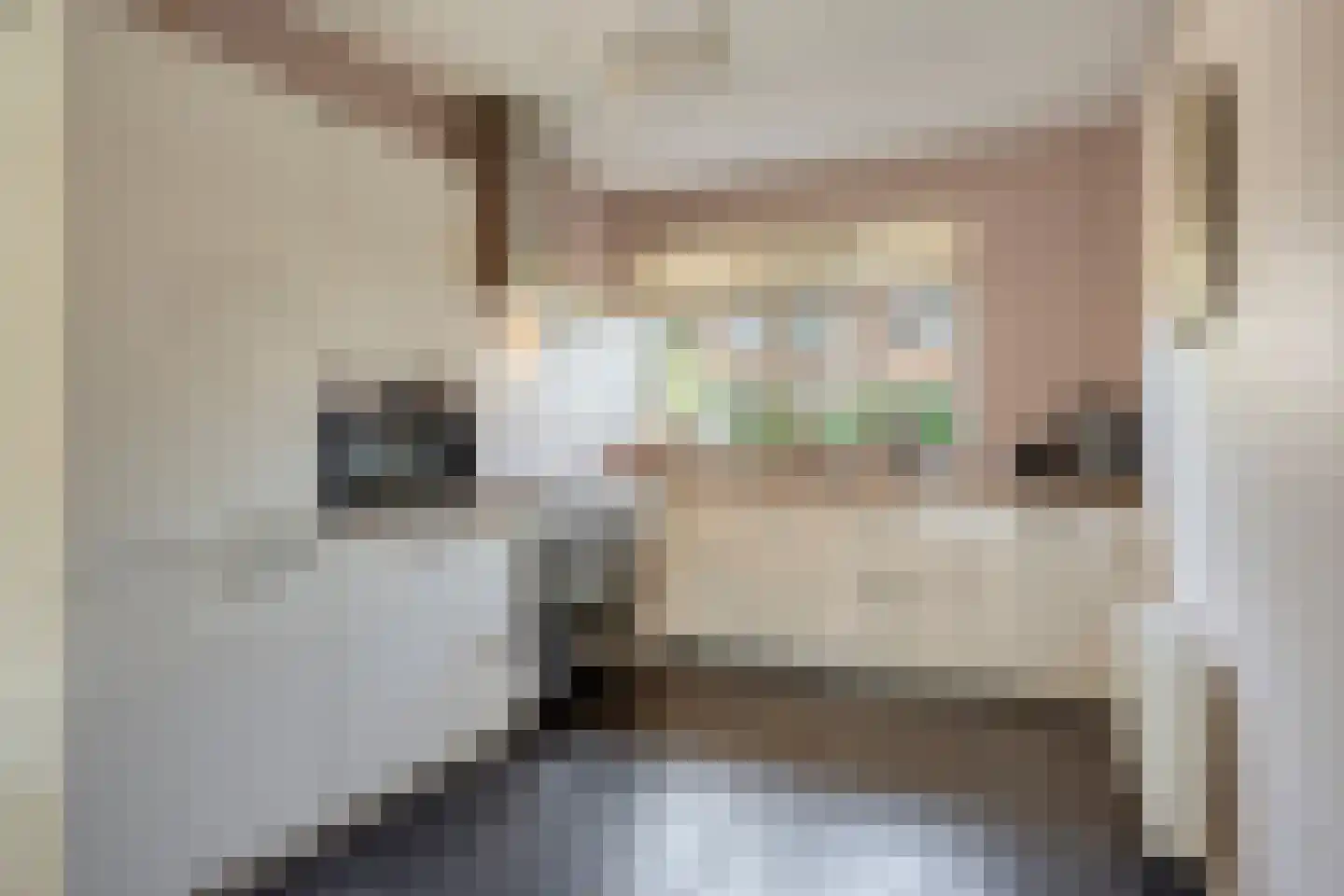 Molendwarsstraat 10 Nederhemert thumbnail 5