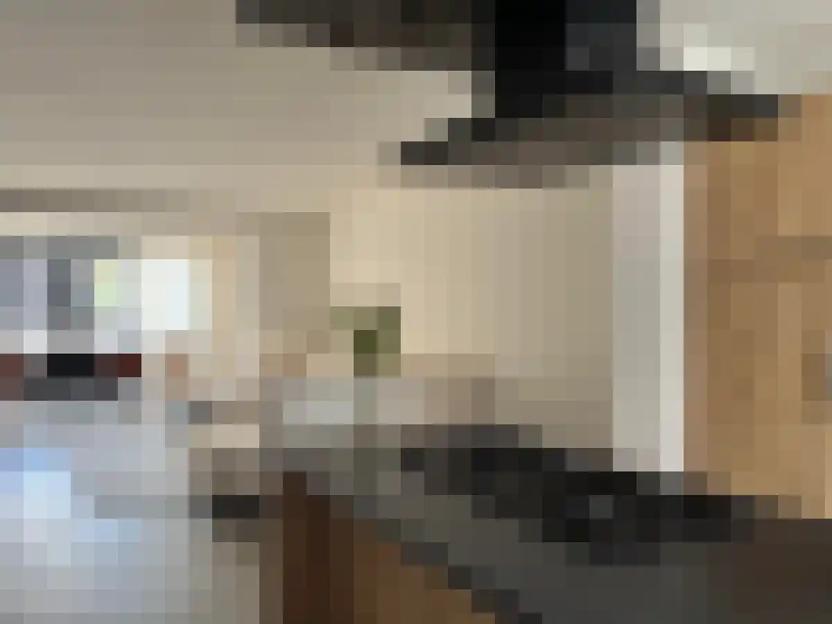 Molendwarsstraat 16 Nederhemert thumbnail 4