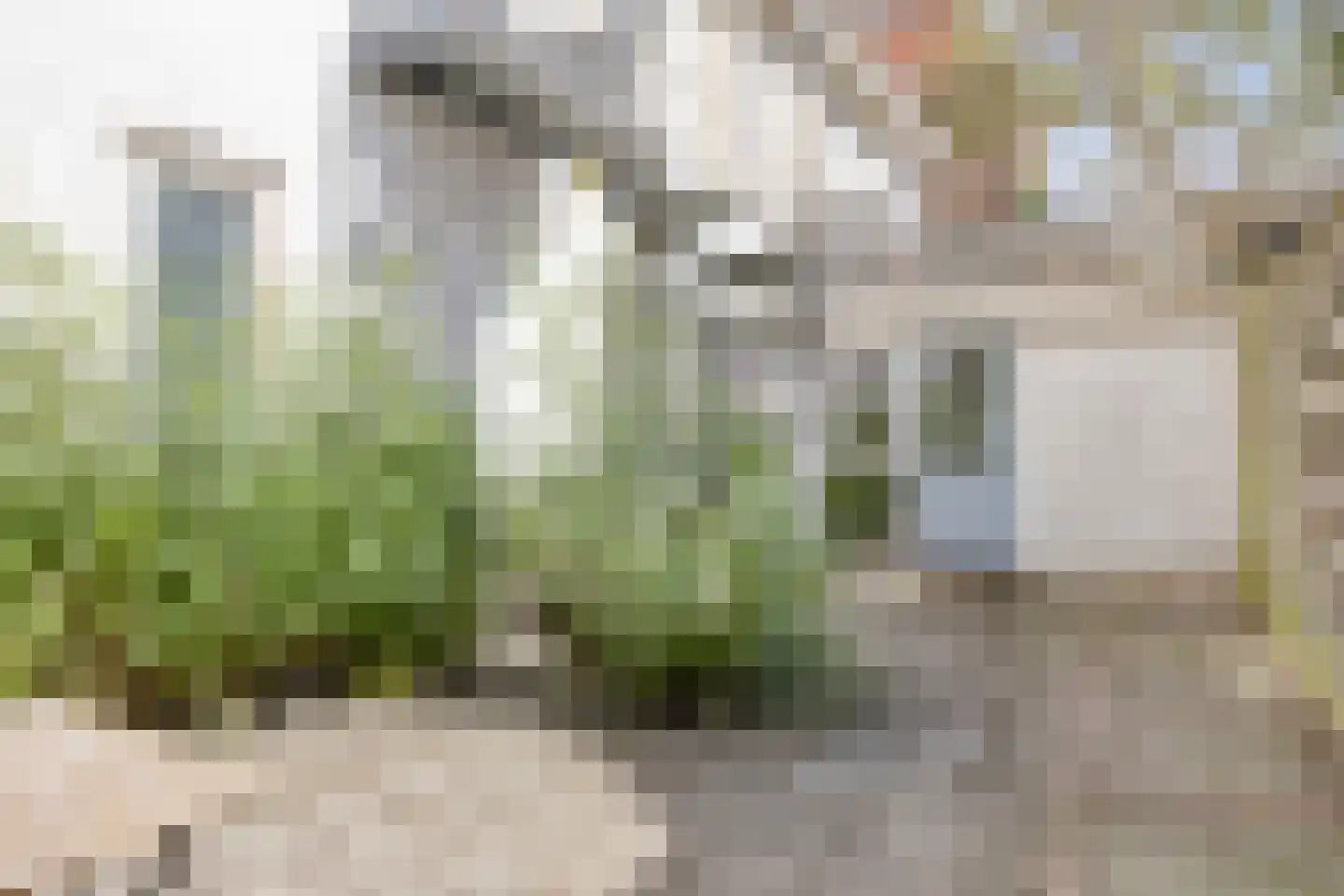 Molendwarsstraat 31 Zwolle thumbnail 21