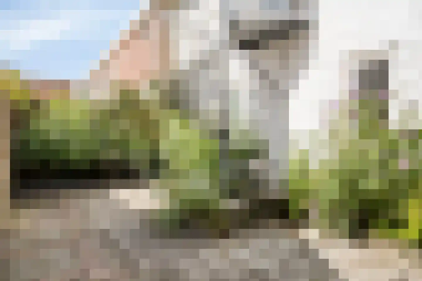 Molendwarsstraat 31 Zwolle thumbnail 22