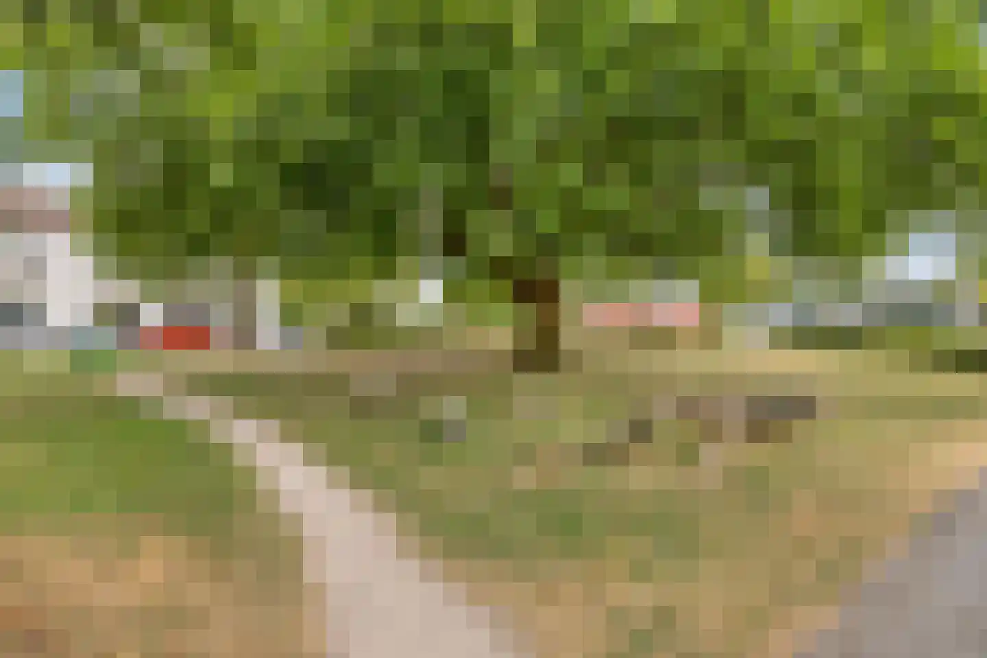 Molendwarsstraat 31 Zwolle thumbnail 25