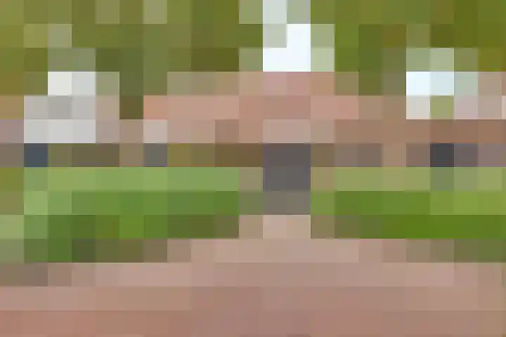 Molendwarsstraat 5 Kampen thumbnail 33