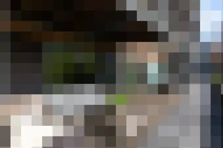 Molendwarsstraat 50 Apeldoorn thumbnail 6