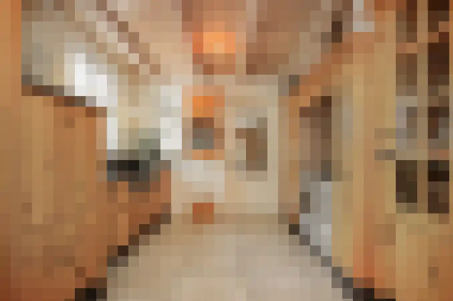 Moleneind 1 Alem thumbnail 15