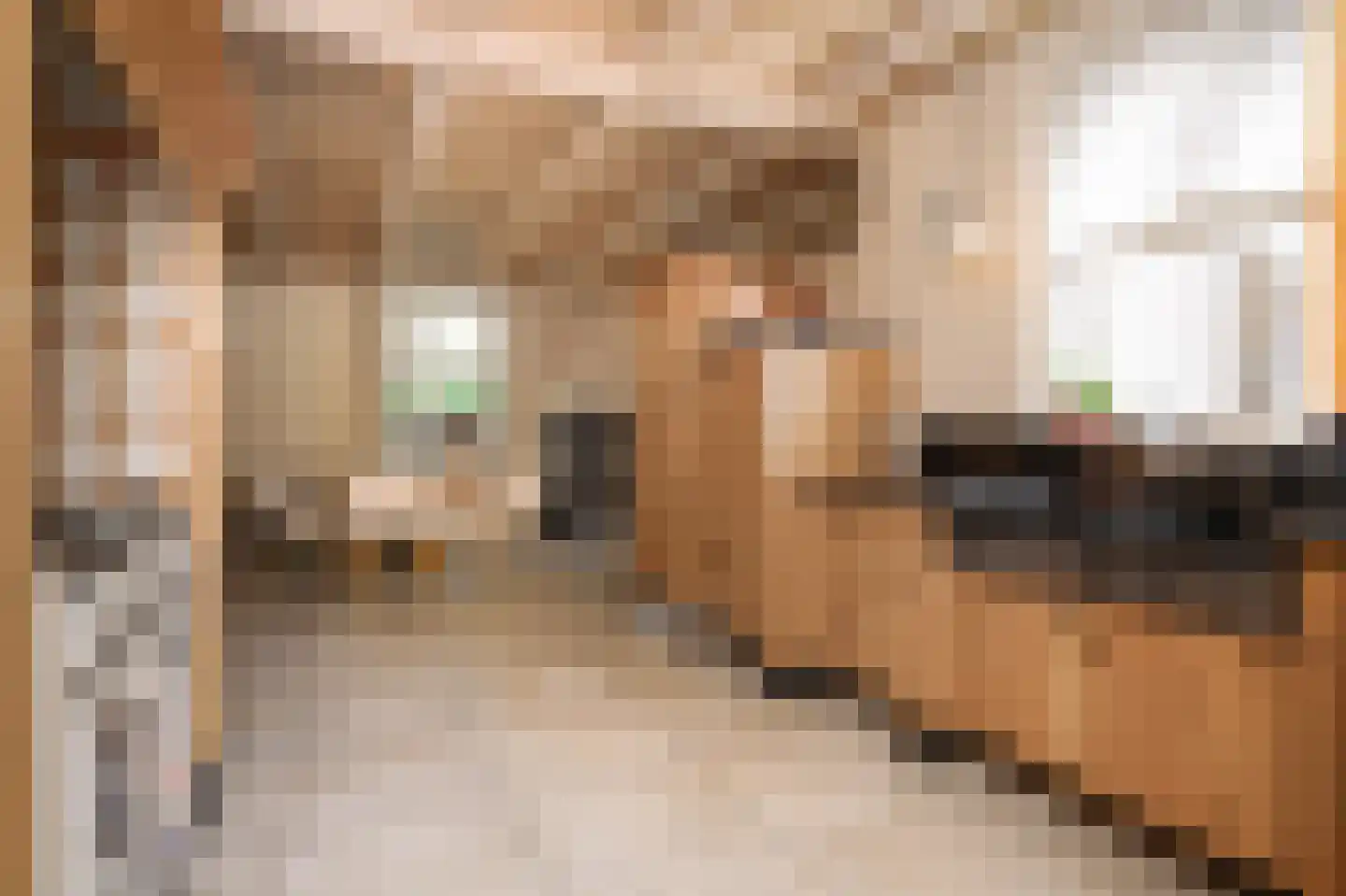 Moleneind 1 Alem thumbnail 17