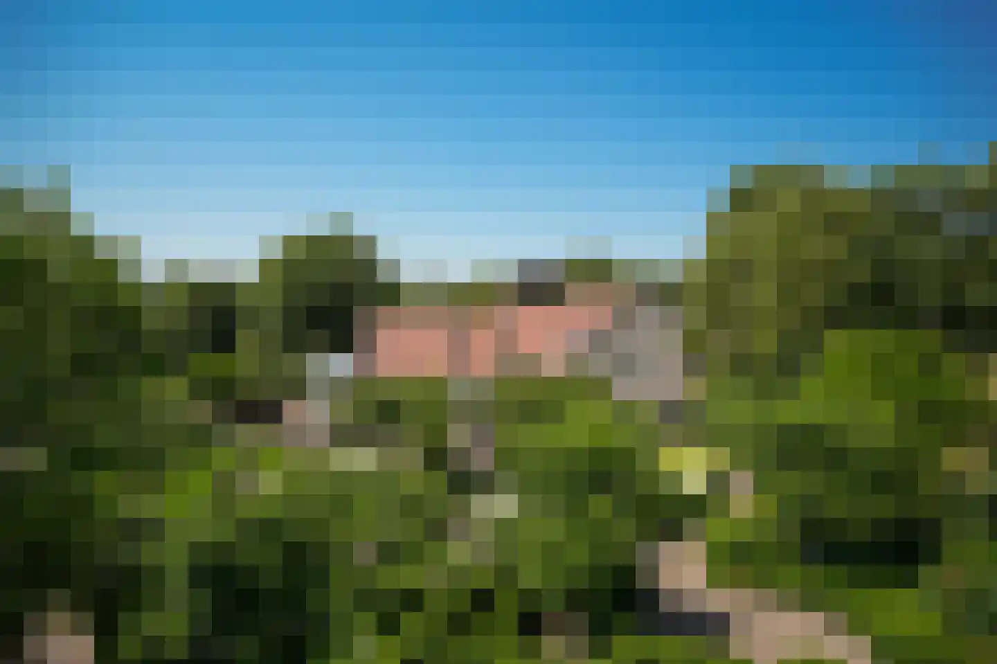 Moleneind 1 Alem foto 2