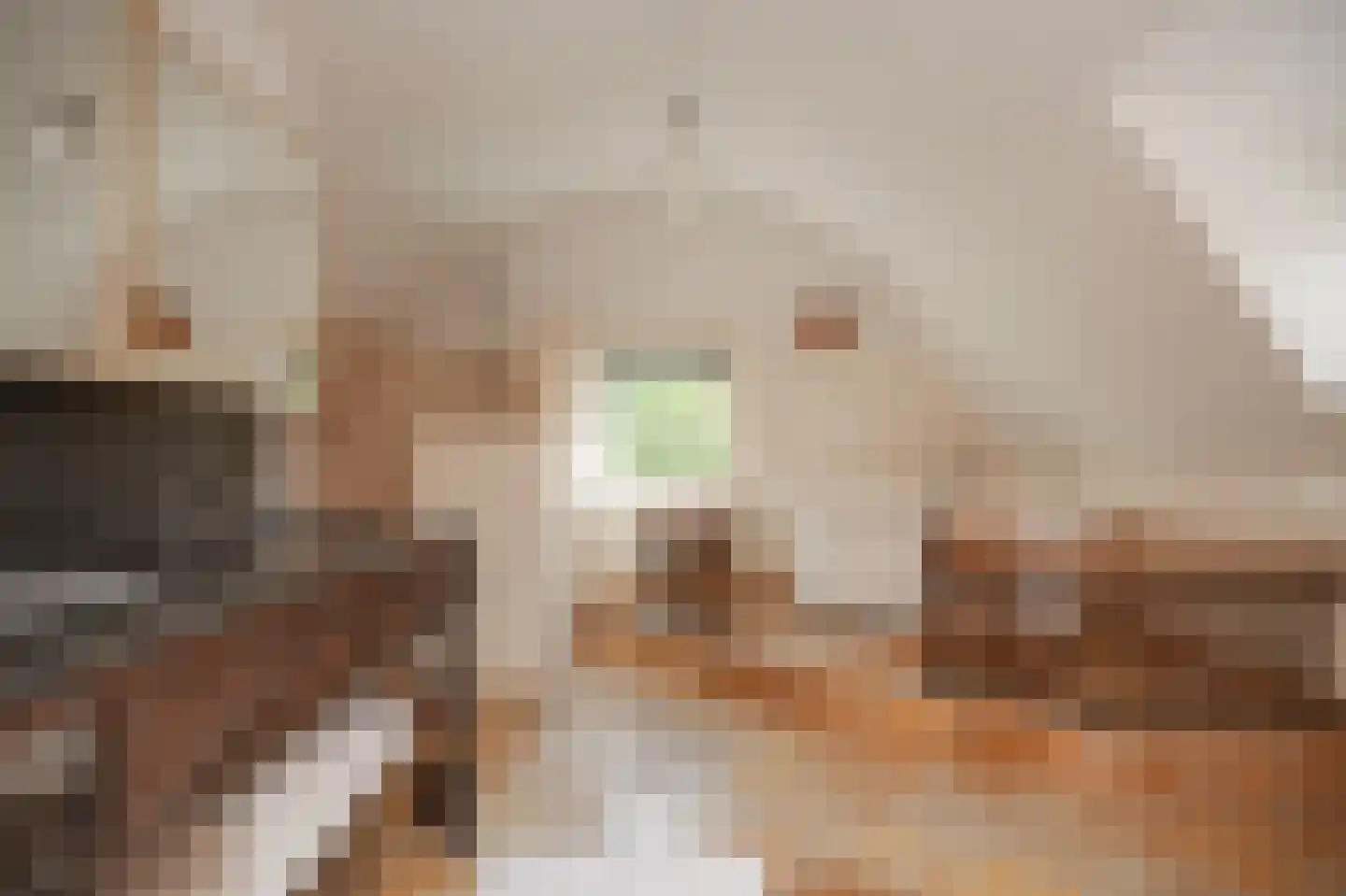 Moleneind 1 Alem thumbnail 33