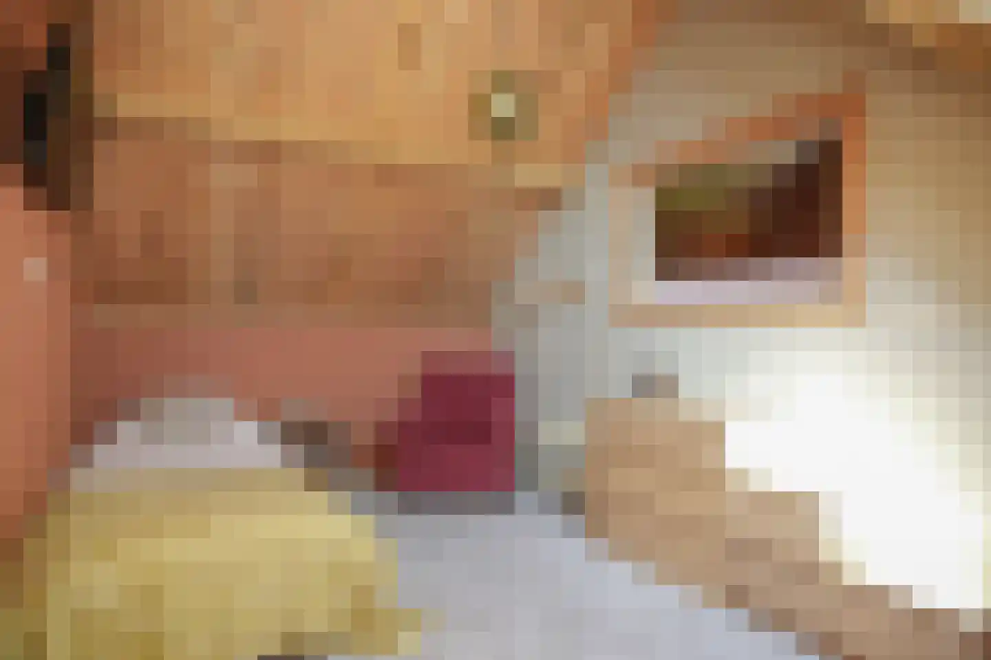 Moleneind 1 Alem thumbnail 50