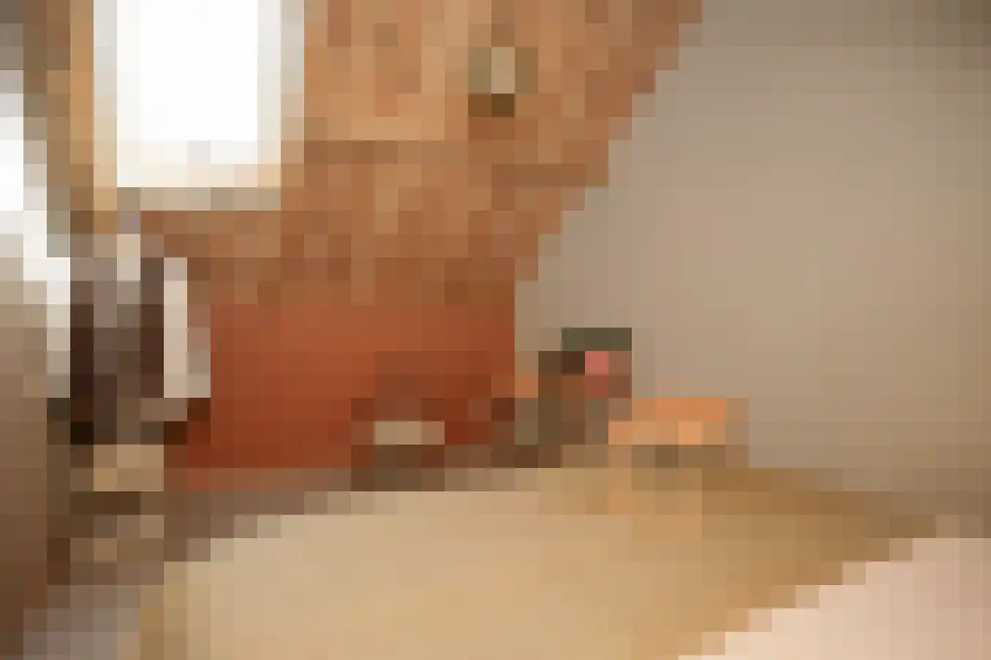 Moleneind 1 Alem thumbnail 55