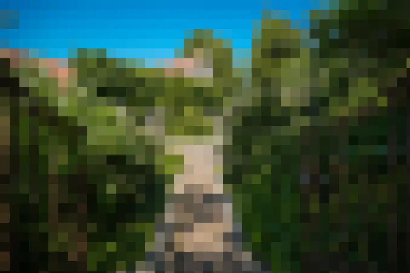 Moleneind 1 Alem thumbnail 60