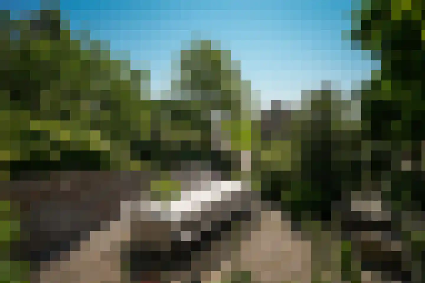 Moleneind 1 Alem thumbnail 65