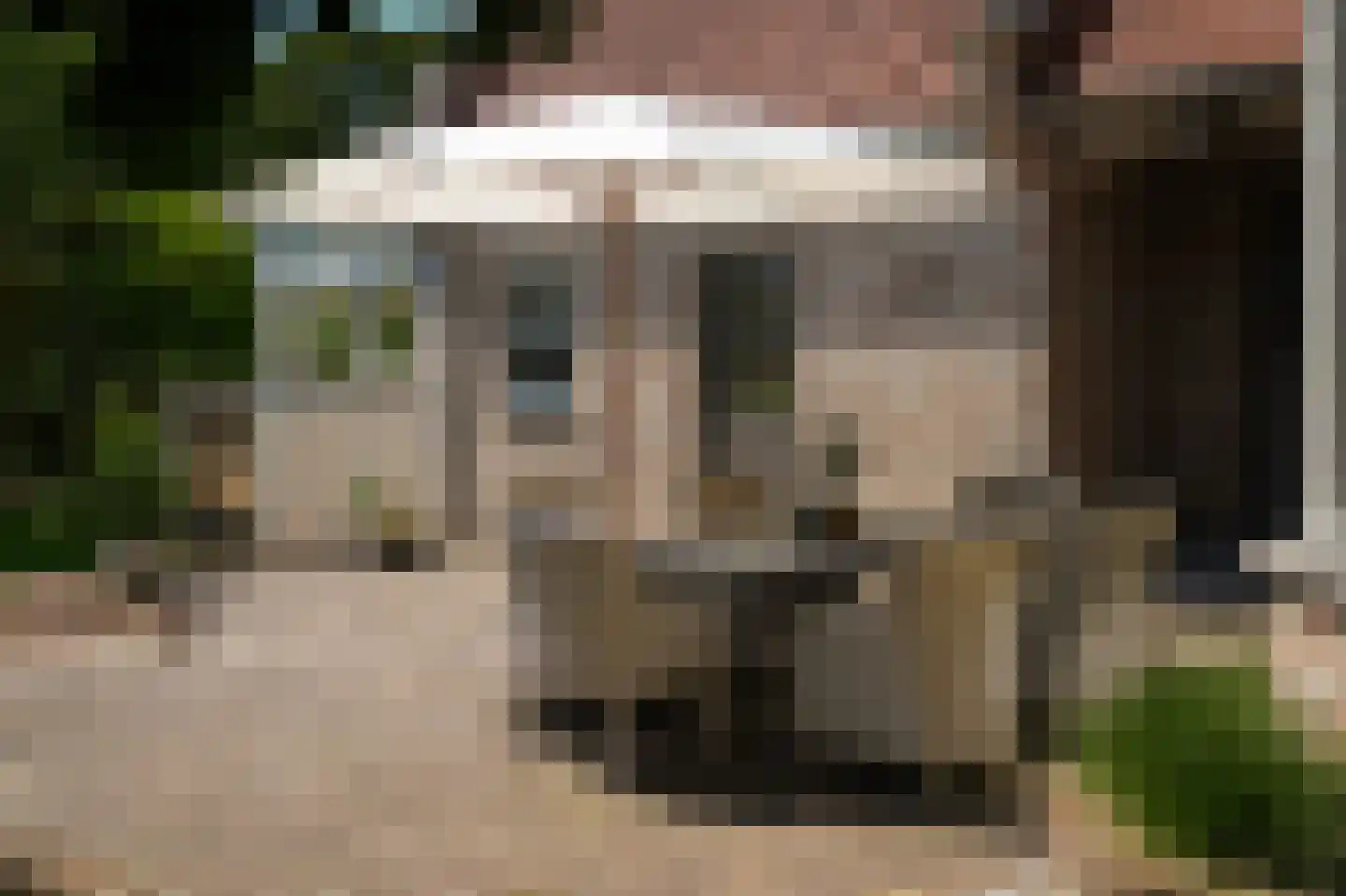 Moleneind 1 Alem thumbnail 67