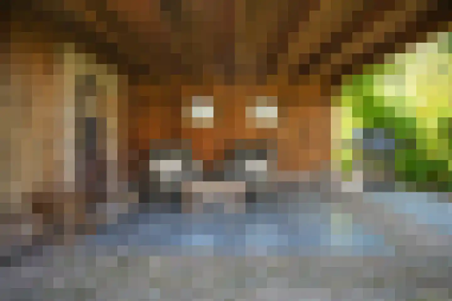 Moleneind 1 Alem thumbnail 72