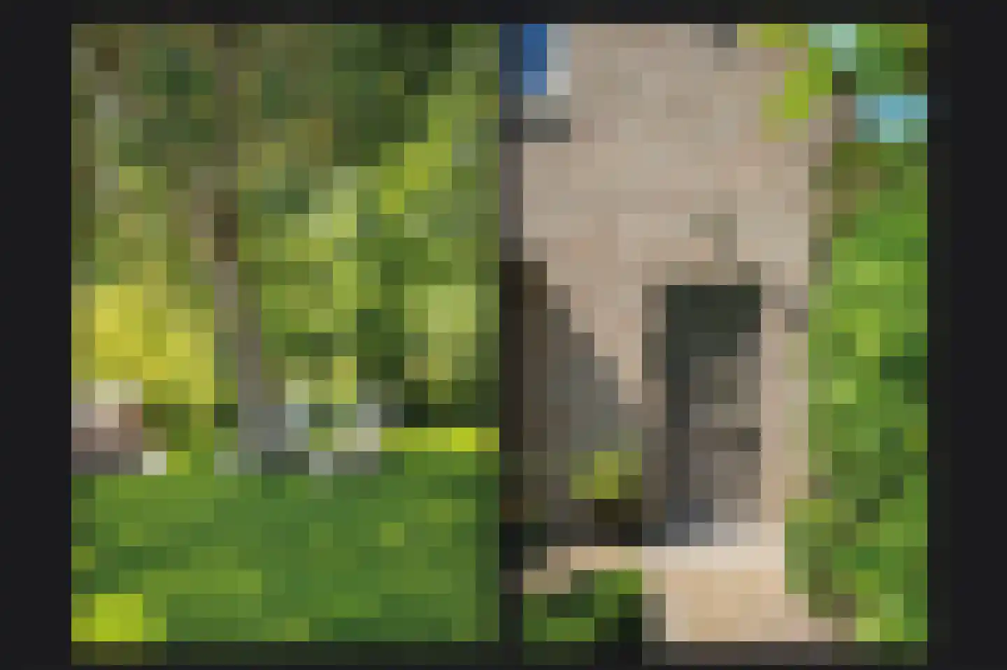 Moleneind 1 Alem thumbnail 77