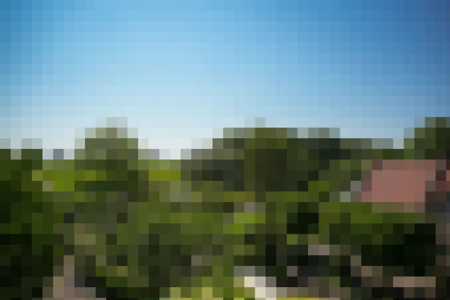 Moleneind 1 Alem thumbnail 78