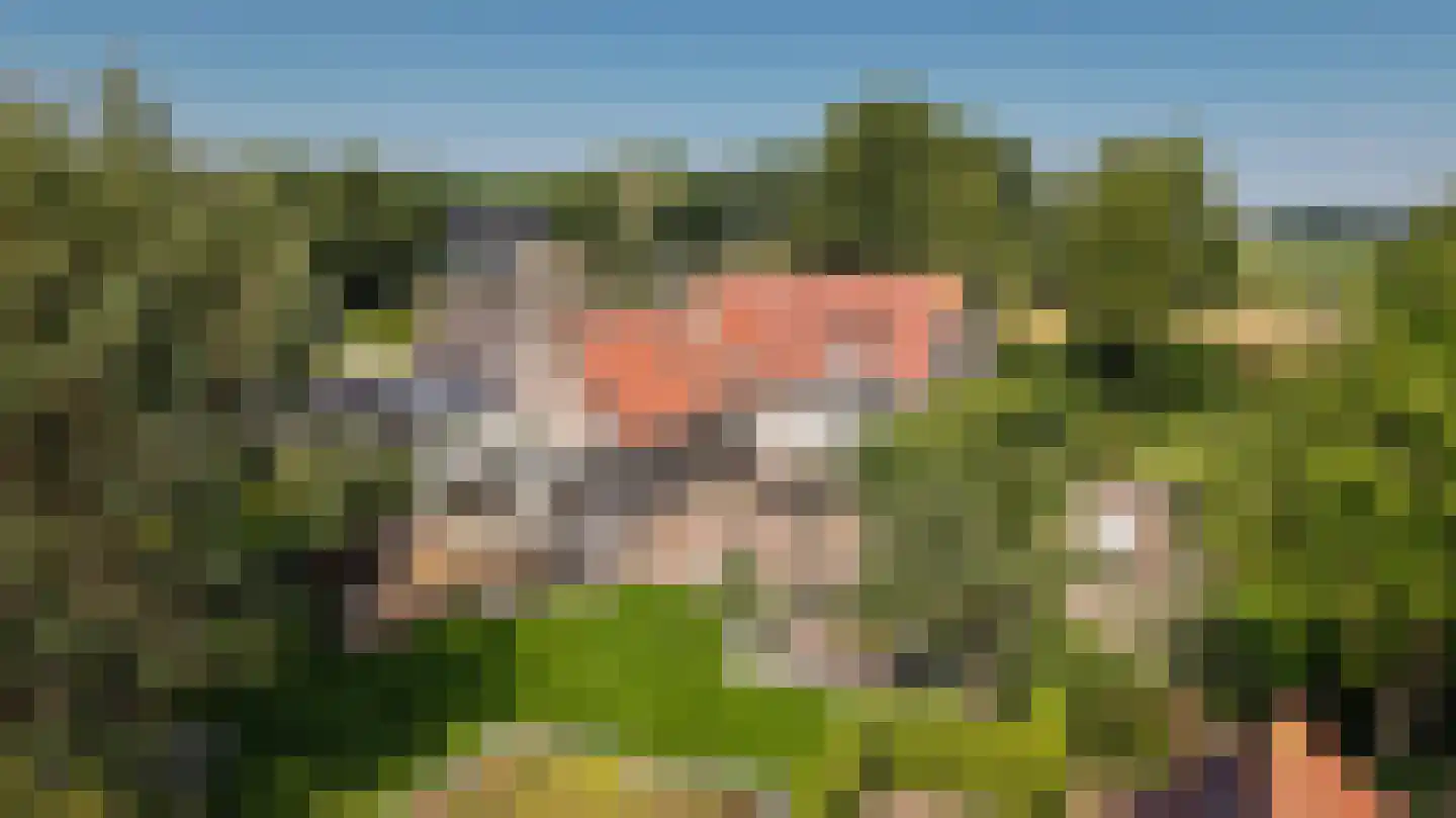 Moleneind 1 Alem thumbnail 83
