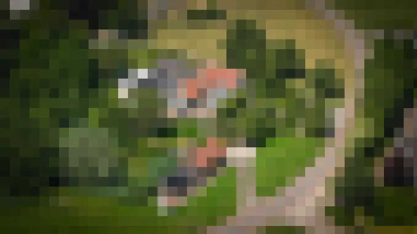Moleneind 1 Alem thumbnail 84